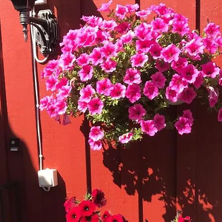 Sarpsborg Apartament *